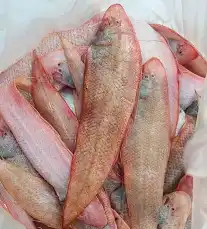 تصویر 3 از قیمت خرید عمده ماهی زبون